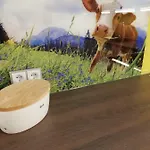 Schmaranzer Бад-Ишль