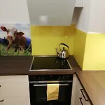 아파트 Schmaranzer 바드이스흘