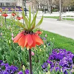 Schmaranzer Апартаменты *