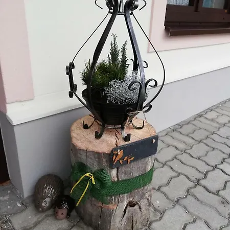 Schmaranzer Appartement *