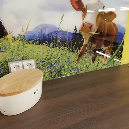 Schmaranzer 바드이스흘