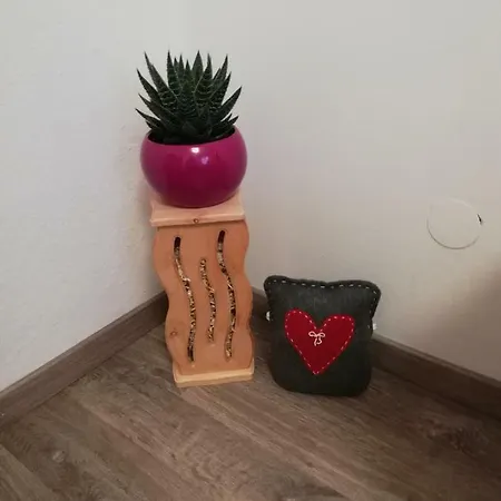 Schmaranzer Apartment Bad Ischl