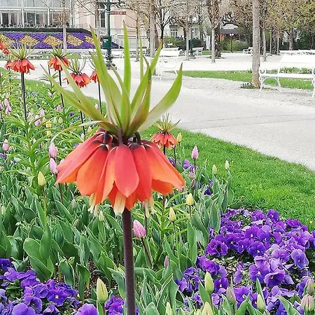 Schmaranzer 아파트 *