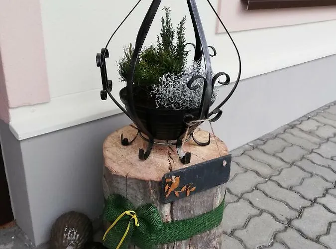 Schmaranzer Lejlighed *