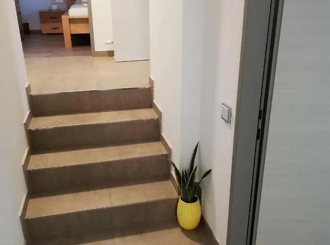 Schmaranzer * Bad Ischl