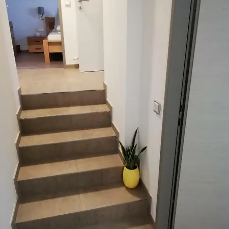 Schmaranzer * Bad Ischl