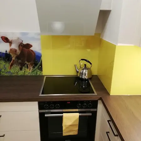 Daire Schmaranzer Bad Ischl