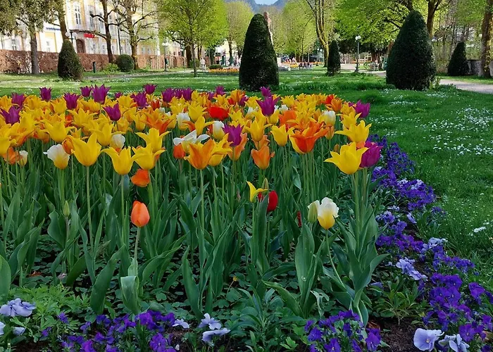 Διαμέρισμα Schmaranzer Bad Ischl