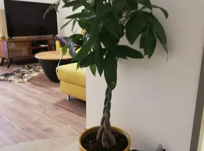 Schmaranzer Διαμέρισμα Bad Ischl