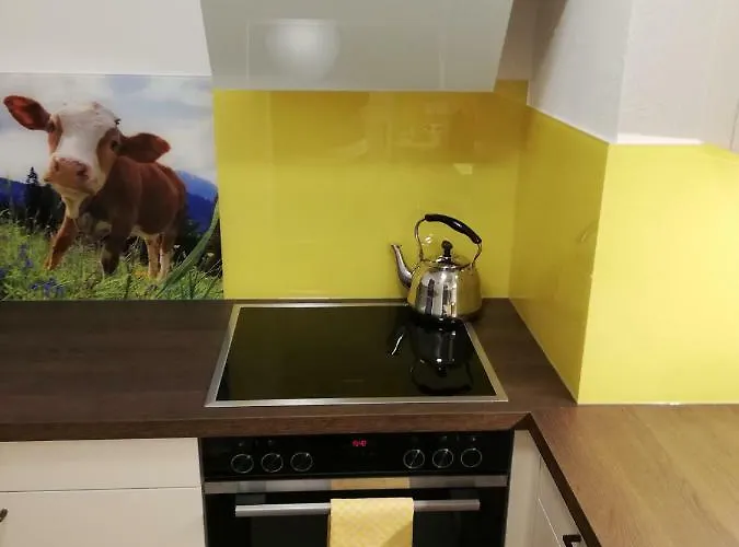 Διαμέρισμα Schmaranzer Bad Ischl